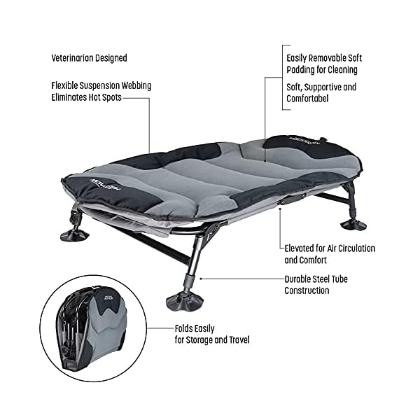 Momarsh-Elevated-Dog-Cot-with-Washable-Soft-Pad-Folding-Frame-for-Travel-Home-Use-All-in-One-Pet-Bed-Cot-System-for-Dogs Momarsh Elevated Dog Cot: Ultimate Bed for Pets