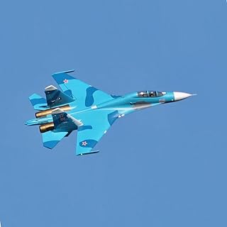 RKSTD RC Brushless Aircraft, 70MM Dual-Duct Power System, with Real Pilot, High Simulation RC Aircraft, Electric RC Aircraft with LED Lights, Suitable for Children and Beginners