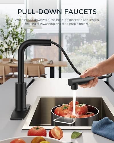 Image of FORIOUS Kitchen Faucets with Pull Out Sprayer, Stainless Steel, Matte Black