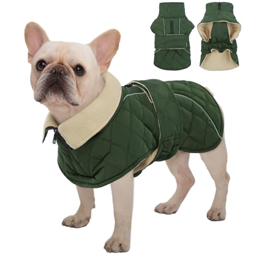 Kuoser Hundemantel für Kleine Mittlere Hunde, Wasserdichter Wintermantel für Hunde, Bequeme Warme Hundejacke mit Fleece, Elastischer Bauch & Klettverschluss, M Grün