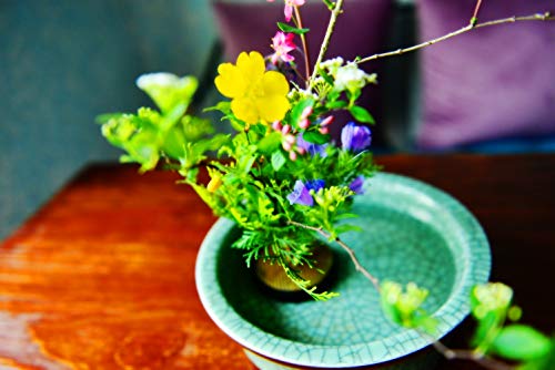 Svy Japanese Kenzan Ikebana Flower Arranger, Kenzan Flower Frog With Needle Calibrator And Cleaning Brush (2.4") #TOP2