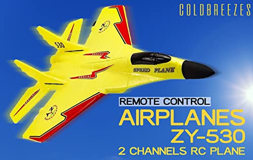 Coldbreezes - Remote Control Airplane Zy-530Pro| 2 Channel Remote 2.4 Ghz, Automatic Balance Easy To Fly| Rc Plane For Adults, Kids, And Beginner| Jet Toy Gift For Fun, Holiday Season… #TOP4