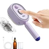 GjnjfdF Spazzola Lisciante Per Capellis Con Vapore, 21.7x7.8x5.6cm ABS Spazzola Elettrica A Vapore Per Capelli, Ricaricabile Con Olio E Misurino, Spazzolas A Vapores Lisciante Per Capelli Corti