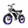 Electric Bike for Adults 1500W/1000W Motor, 48V 20AH/15AH Removable Battery, 20" Fat Tire All-Terrain Ebike with Dual Suspension & Hydraulic/Mechanical Brakes (Pro)