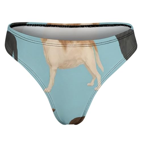 Women & Girls Comfort Cheeky Briefs Panties Bikini Briefs Bathing Suit3