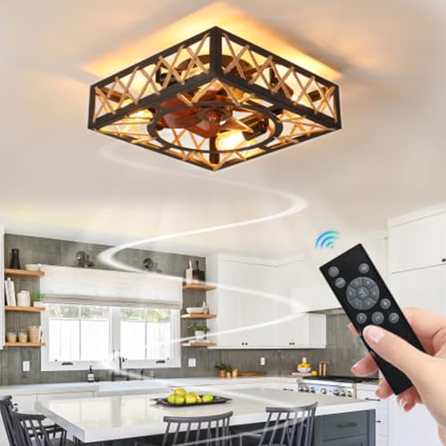 Hqlmzd 20" Caged Ceiling Fans with Lights and Remote