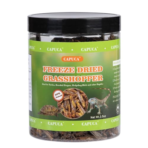 Dried Grasshoppers Reptile Food All Natural - High Protein Dried Insects Treats for Bearded Dragons Turtles Geckos Lizards Hedgehogs Chameleon Birds（3.5 OZ）