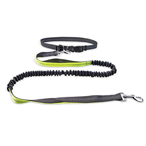 Moraphee Laisse de Chien rétractable Mains Libres pour la Course à Pied avec Fil réfléchissant, Longueur de Ceinture réglable: 70-120cm; Taille de Laisse: 160-190 * 2.5cm pour Chien de Moins de 110lb Cover