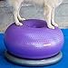 FitPAWS Traxdonut Dog Education Accessory