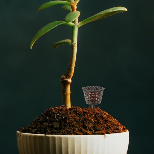 Vignette produit