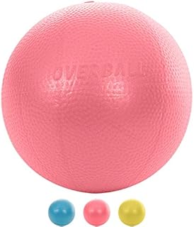 Overball 25 cm Yoga Pilates Physiotherapy Spine Therapy Ball Exercise Ball