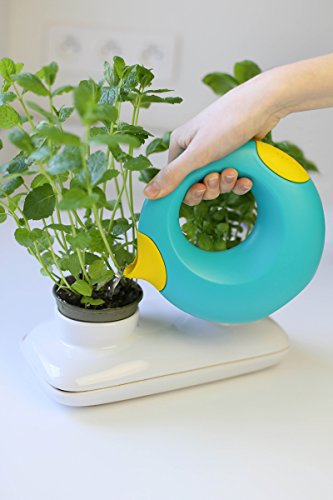 Quut- Cana Small Annaffiatoio Ergonomico QU170556