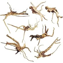 kathson Aquarium Driftwood Reptile Branches Wood Natural Spiderwood Driftwood for Aquarium 5-6" 7 Pcs Terrarium Ornament Trunk Fish Tank Log Habitat Decoration Tree Stump Decor Assorted Sizes Wood