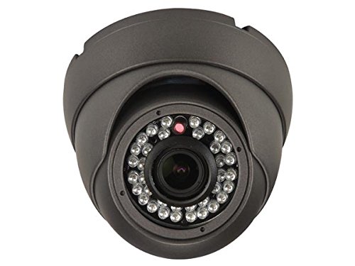 Telecamera di sorveglianza cupola interna Sony