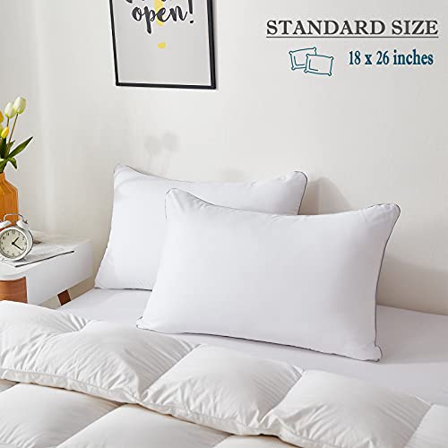 Intoipush Bed Pillows For Sleeping 2 Pack Standard Size - Luxury Quality Pillows With Premium Plush Fiber - Super Soft & Comfortable Bed Pillows For Back & Side Sleepers (Standard) #TOP5