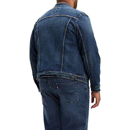 Levi's Men's Trucker Jacket (Also Available in Big, Colusa/Stretch, Large Tall