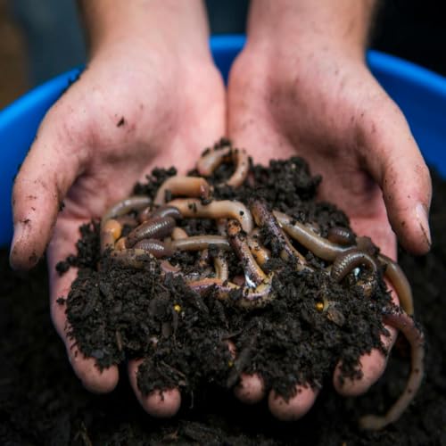 Worms of Endearment