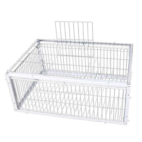 Vogelfalle, automatisch, ausbruchsicher, Spatzenfalle, leicht zu reinigen, Haustierzubehör mit 4 Eingängen für Spatzen, Nymphensittiche, Wellensittiche, , Sittiche