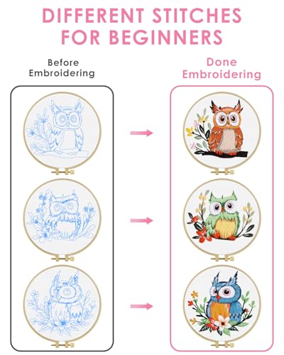 Image of TINDTOP Embroidery Kit for Adults, Owl Embroidery Practice Kit | for Adult Beginners Include Embroidery Cloth Hoops Threads for Craft Lover Hand Stitch with Embroidery Skill Techniques