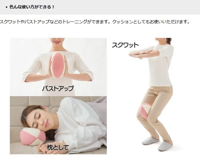 整体ボディクッション Amazon.co.jp: はさむだけキュットレクッション 95756ニーズ 内転筋