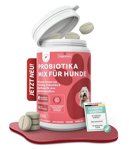Prä & Probiotika Hund [MADE IN GERMANY, ZUCKERFREI & LABORGEPRÜFT] Darmkur mit 670 Mrd. KBE & Präbiotika – stärkt Darmflora & Verdauung – ideal nach Wurmkur, Grasfressen & Sodbrennen (180g (1er Pack))