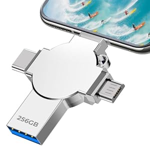 lumrok Chiavetta USB 256GB - 4 In 1 Pen Drive Portatile Penna USB 256GB per Copiare dati/Immagini/Film per Smartphone OTG Android PC Computer Laptop