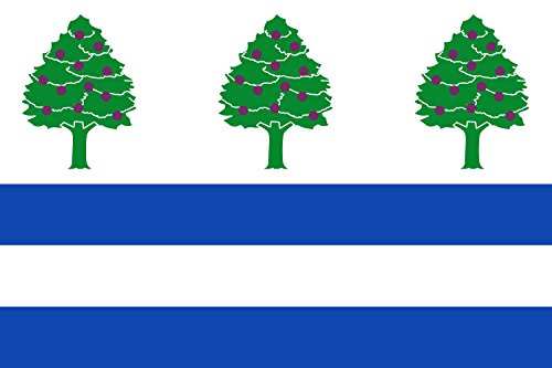 Drapeau Large Requejo rectangulaire 2:3 pour décoration extérieure - 2