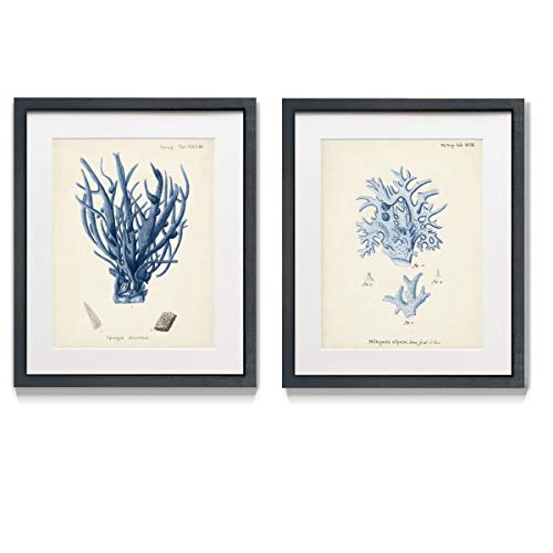 Renditions Gallery Antique Coral in Navy III 2 Piece Framed Artwork Set, Underwater Ocean Themed Pair, Blue, Modern Black Matte Frame, White Mat, Plexiglass, 16 In W X 20 In H, Made in America