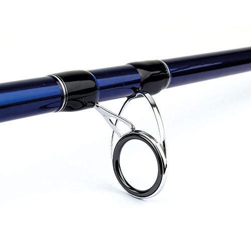 Canna da pesca Nexave Beach 42100