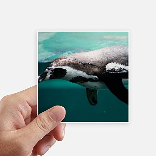Autocollant carré animal marin DIYthinker 10cm déco étanche multi usage 8pcs