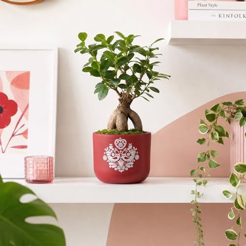 Image of Urban Plant Red Folk Art Handcrafted Terracotta Planter | Hand Painted Artisan Indoor Clay Pot for Living Room | Unique Decorative Flower Pot | Home Decor Gift | Drainage Hole | 4.5 Inch