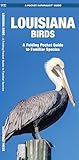 Louisiana Birds: A Folding Pocket Guide to Familiar Species (Pocket Naturalist Guide Series)