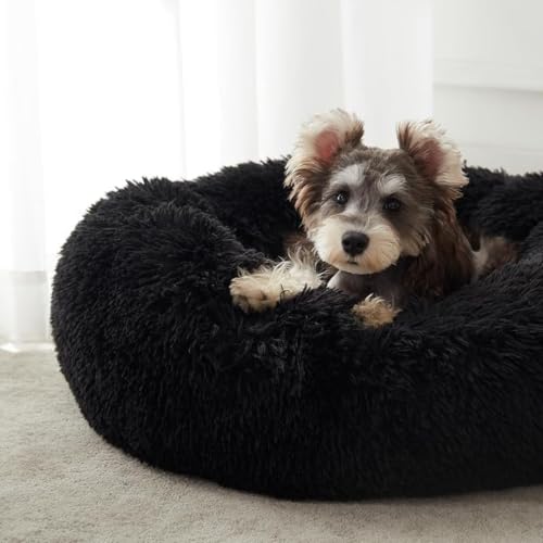 Image of ZEXSAZONE Summer Small Cat Bed Doughnut Shape for Kittens & Small Dogs | Soft Plush Washable Puppy Bed | Raised Sides for Head & Neck Support | Reversible 2-in-1 Pet Cushion (S Black)