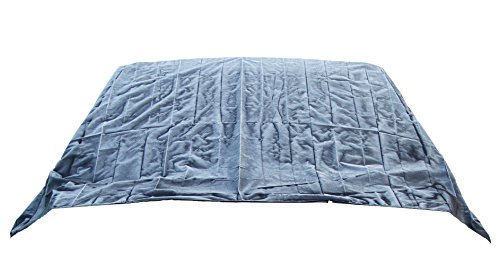 Auto Companion - Cubierta magnética para parabrisas, para proteger de la nieve y el hielo, para cualquier condición meteorológica, con bolsa antipolvo