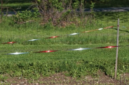 Image of Bird Suraksha Tape | Holographic Reflective Ribbon for Pigeon & Crow Repellent | 15mm x 100m Bird Scare Deterrent Tape | Weatherproof, Eco-Friendly (Pack of 2)