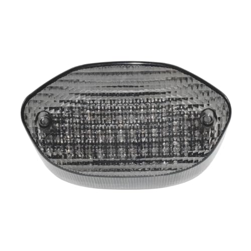 Luz Trasera LED Transparente con Señal de Giro para BMW F650CS R1100S 6