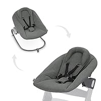 hauck Babywippe & Newborn Aufsatz Premium für Hochstuhl Alpha & Beta ab Geburt - 2in1 Babyaufsatz für Neugeborene mit 5-Punkt-Gurt, verstellbarer Rückenlehne & Baumwolle (Dark Grey)