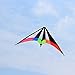 HENGDA KITE-Lightning 48 Inch Dual Line Stunt Kite for Kids and Adults, Outdoor Sports,Beach and Fun Sport Kite,Handle,Line,and Bag Included