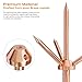 Lightning Rod,Copper Lightning Rod Protection System with 60 Feet 6AWG Down Conductor and Ground Rod Clamp UL Listed for House Roof Bungalow Tin House Farm (1.7FT, Lightning Rod with Down Conductor)