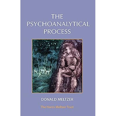 Psychoanalytical Process