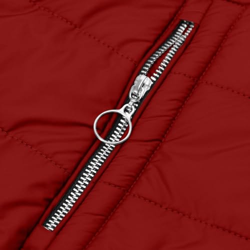AACH Steppjacke Damen Dickere Daunenjacke Winter Langarm Kapuzenjacke Fleece Gefütterte Winterjacke Slim Fit Einfarbig Wintermantel Full Zip Modische Pufferjacke mit Taschen Outdoorjacke