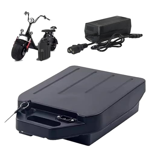 Batterie fat bike 60V 48V lithium pour explorer la nature en vélo