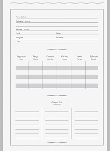 Caderno Espiral Univ CD 10 Matérias 160 Fls Tweety Cinza Jandaia