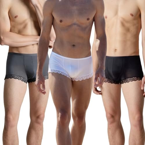 Men's Boxer Briefs Men's Sexy Underwear Silky Lace Underwear for Men Sheer Panties Mens Lingerie Boyshorts