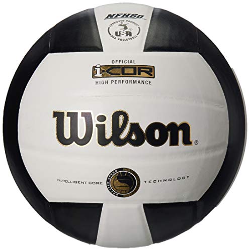 Wilson I-COR High Performance Indoor Volleyball