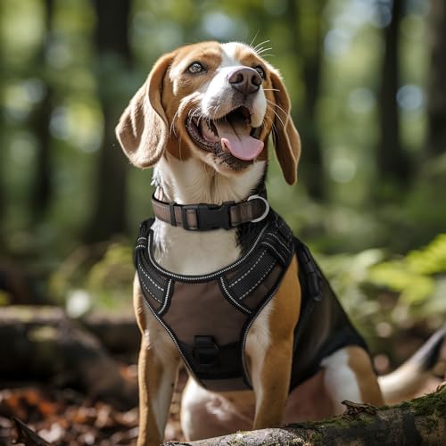 Image of Joytale Reflective Dog Collar, Soft Neoprene Padded, Metal D-Ring, Nylon Pet Collar Adjustable for Medium Dogs, Brown, Medium