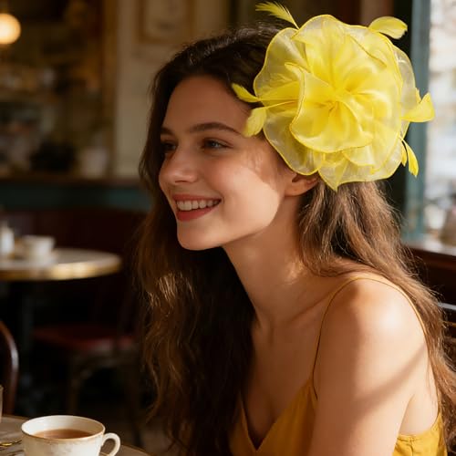 Image of DRESHOW Fascinators Hat Tea Party Headwear Ribbons Feathers on a Headband and a Clip for Women