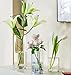 6 Pack Glass Cylinder Vases for Centerpieces,Wedding Flower Vases Decorations,4 Inch Tall by 3.5 Inch Wide Glass Cylinder Vase for Bulk Flowers Decor, Table Shelf, Floating Candle and Home Decor