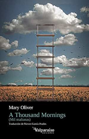 A Thousand Mornings: Mil Mañanas: 285 (Colección Valparaíso de Poesía)