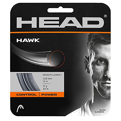 ヘッド(HEAD) 硬式テニス ガット ホーク セット 12m 281103 グレー